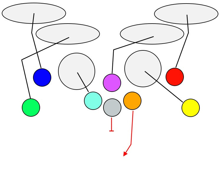 flag-football-plays-8v8-winning-playbook-strategies-tagged-pdf-myfootballplays